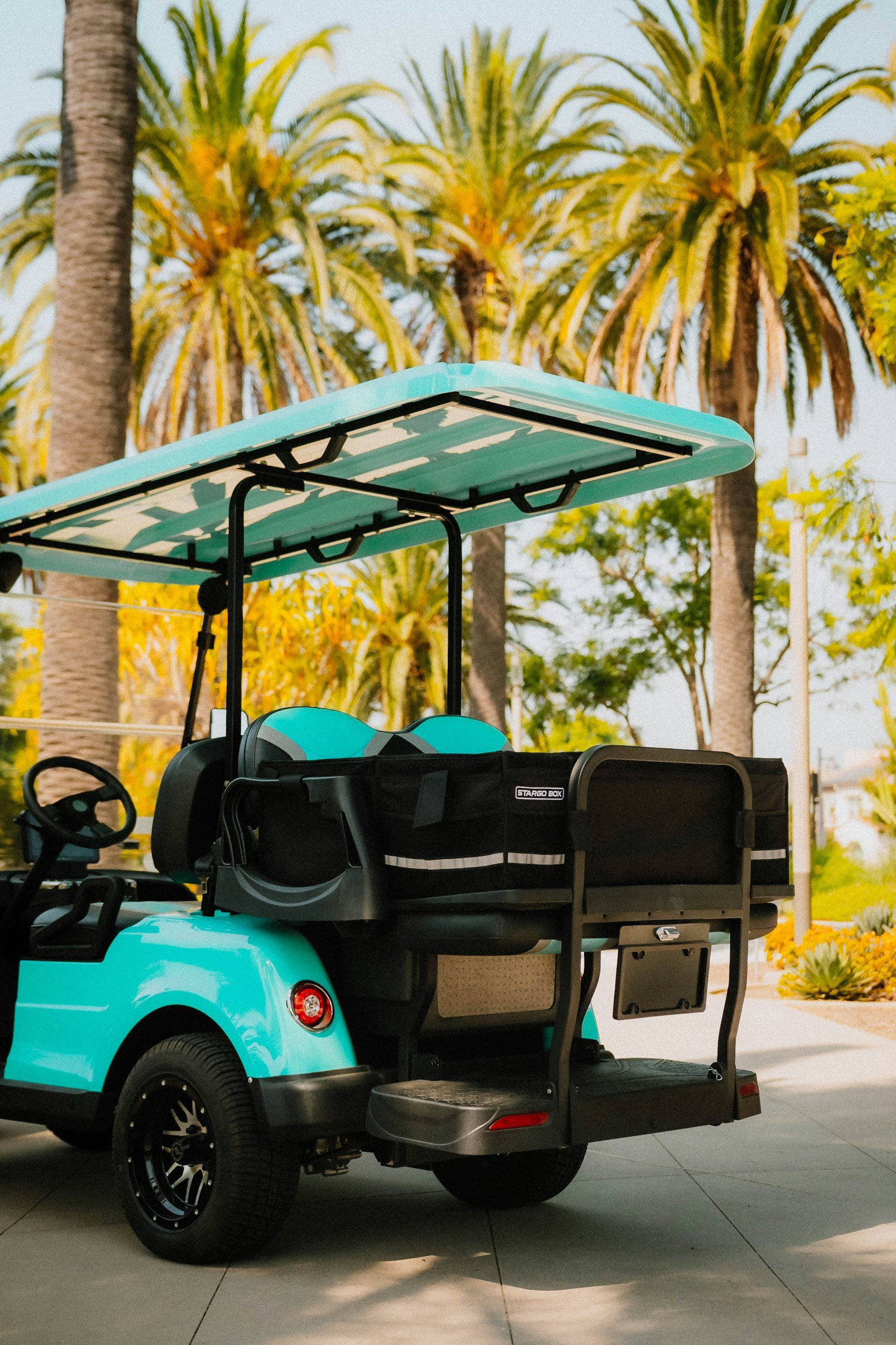 Rear seat of a turquoise golf cart among palm trees