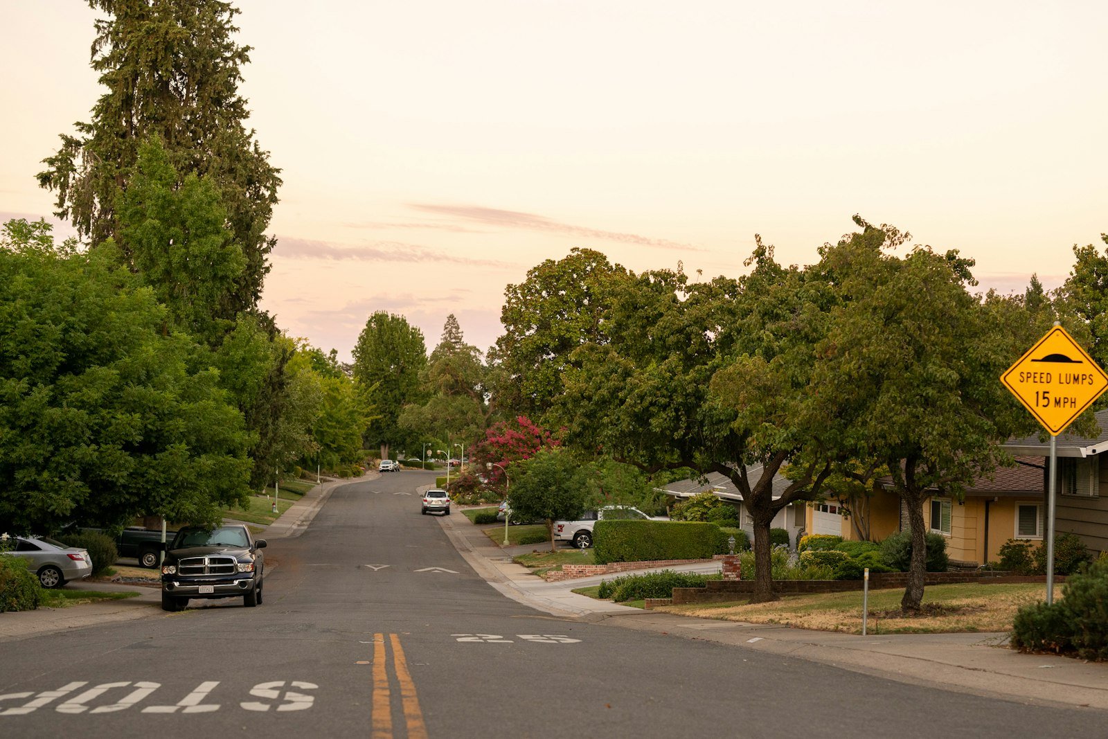 Quiet tree-lined neighborhood street with a yellow road sign